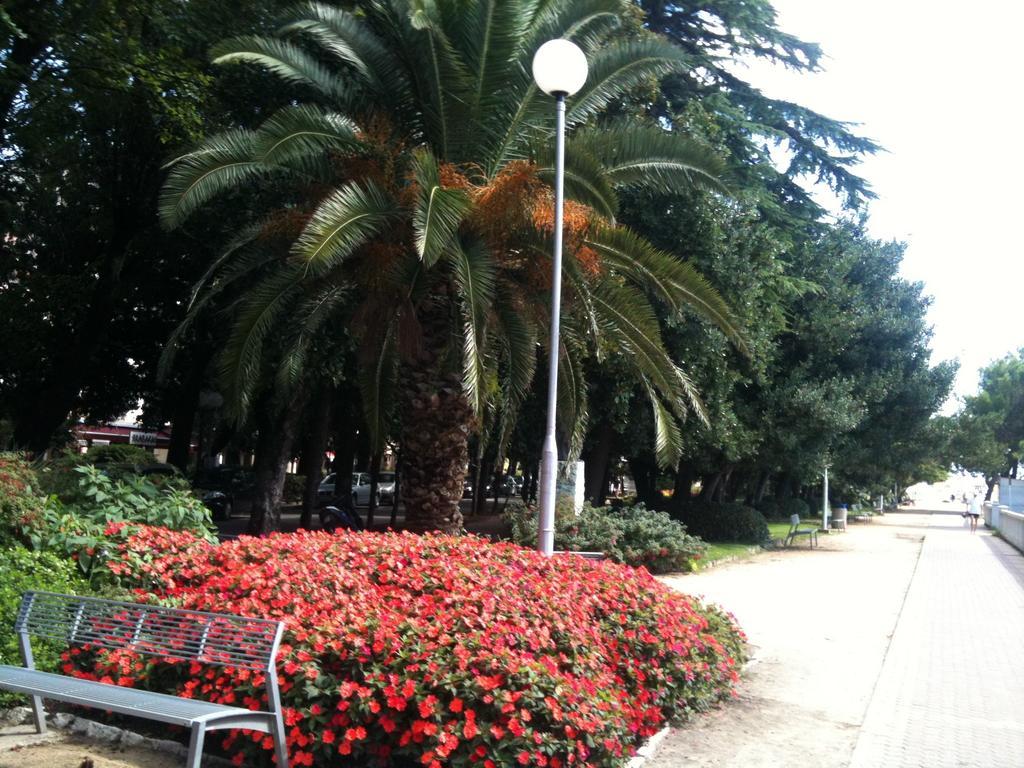 Case de vacanță Little Tony- Center 40m