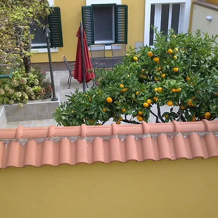 Little Villa Tony- Center 40M Beach Crikvenica Room photo