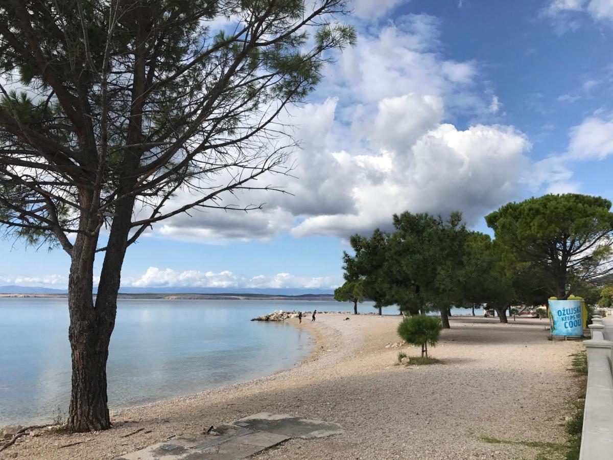 Little Tony- Center 40m Holiday home Crikvenica