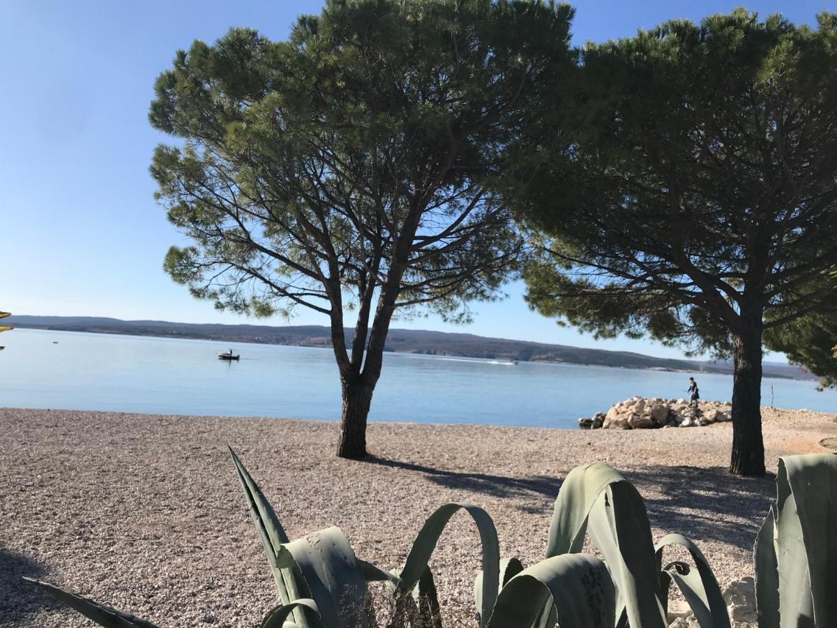 Little Tony- Center 40m * Crikvenica